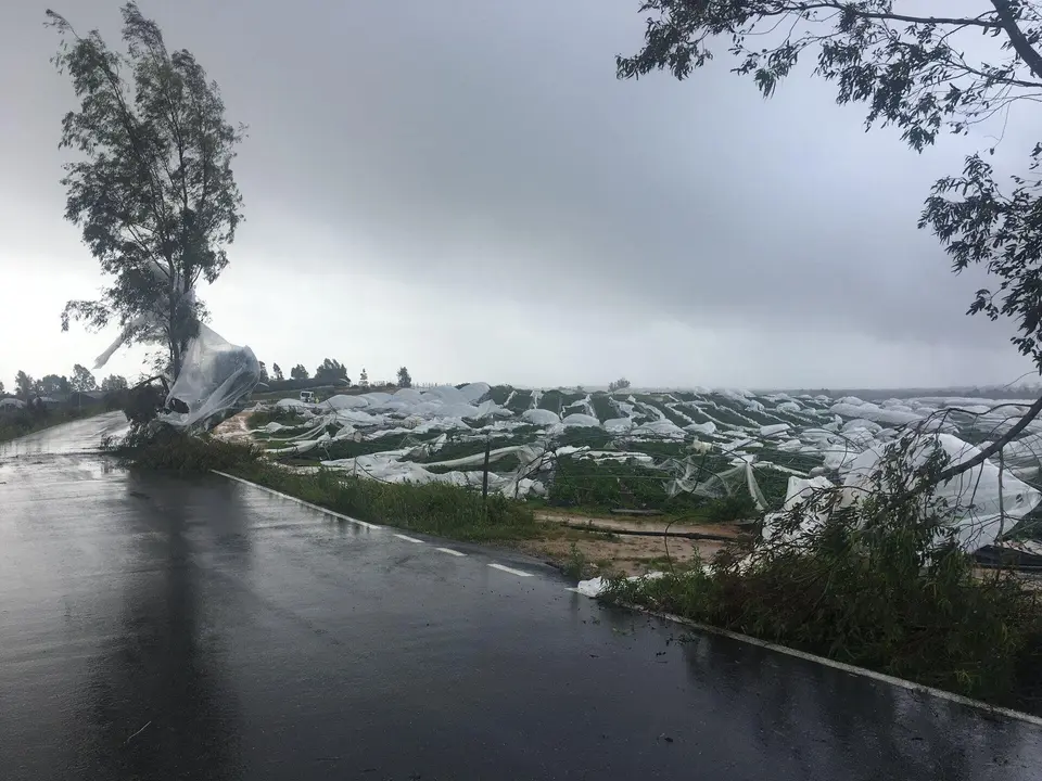 Daños por el tornado en San Bartolomé. (Foto facilitada por el Ayuntamiento)