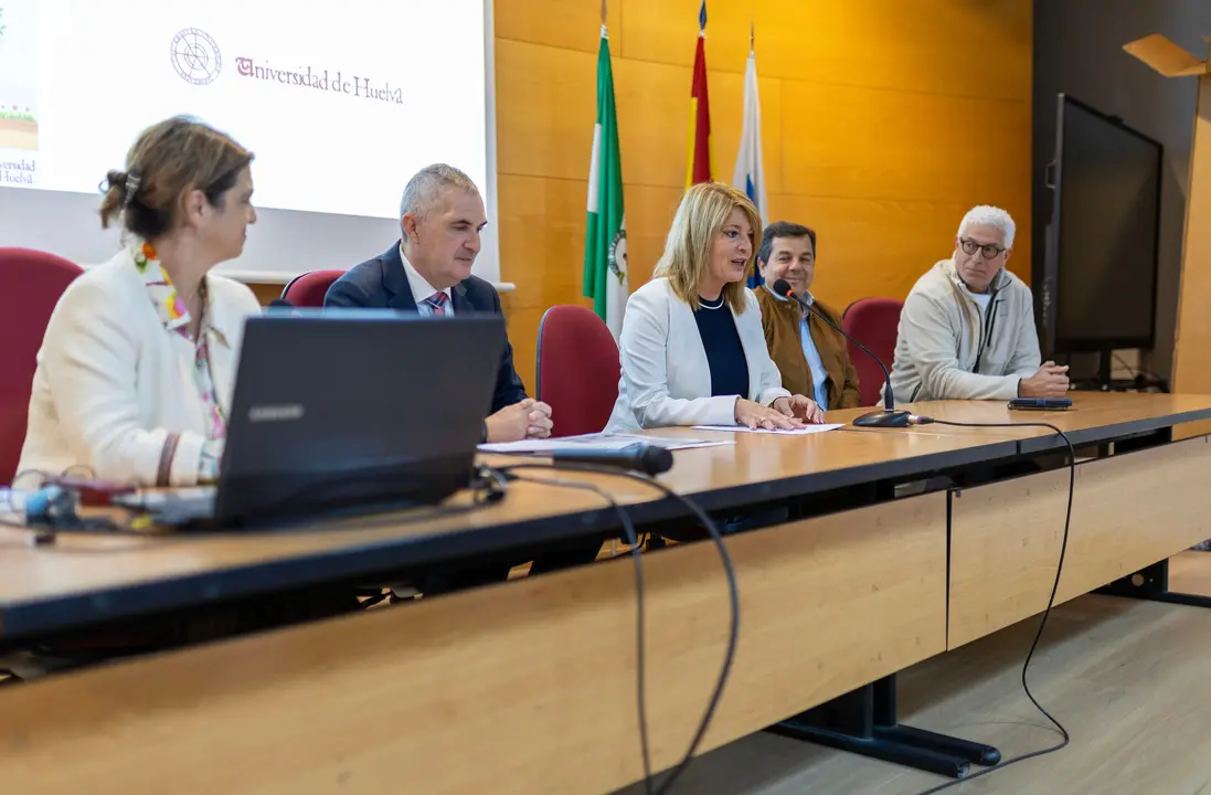 Presentación del plan.