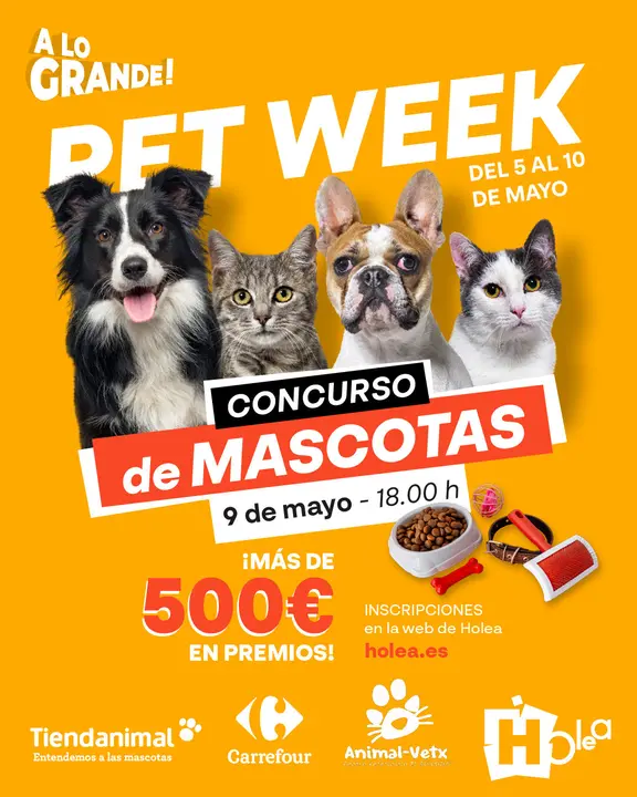 Cartel del evento