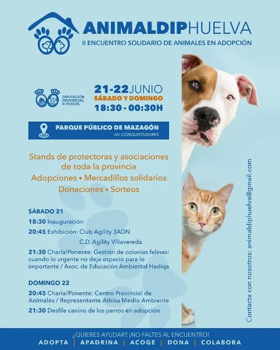 Encuentro animales en Mazagón