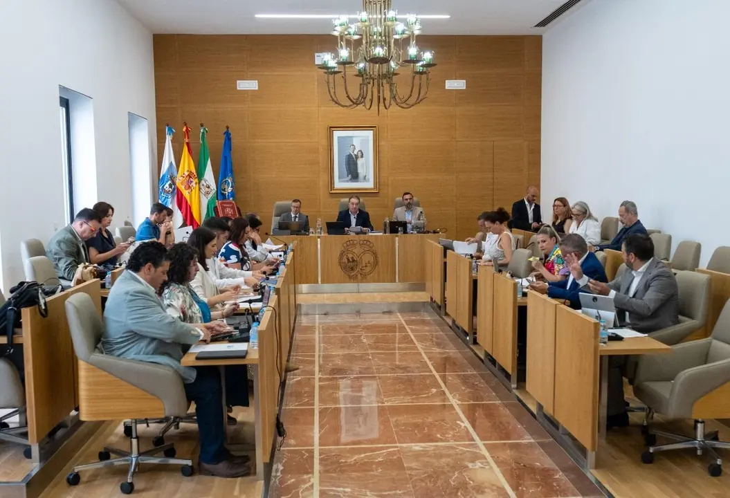 Pleno Diputación