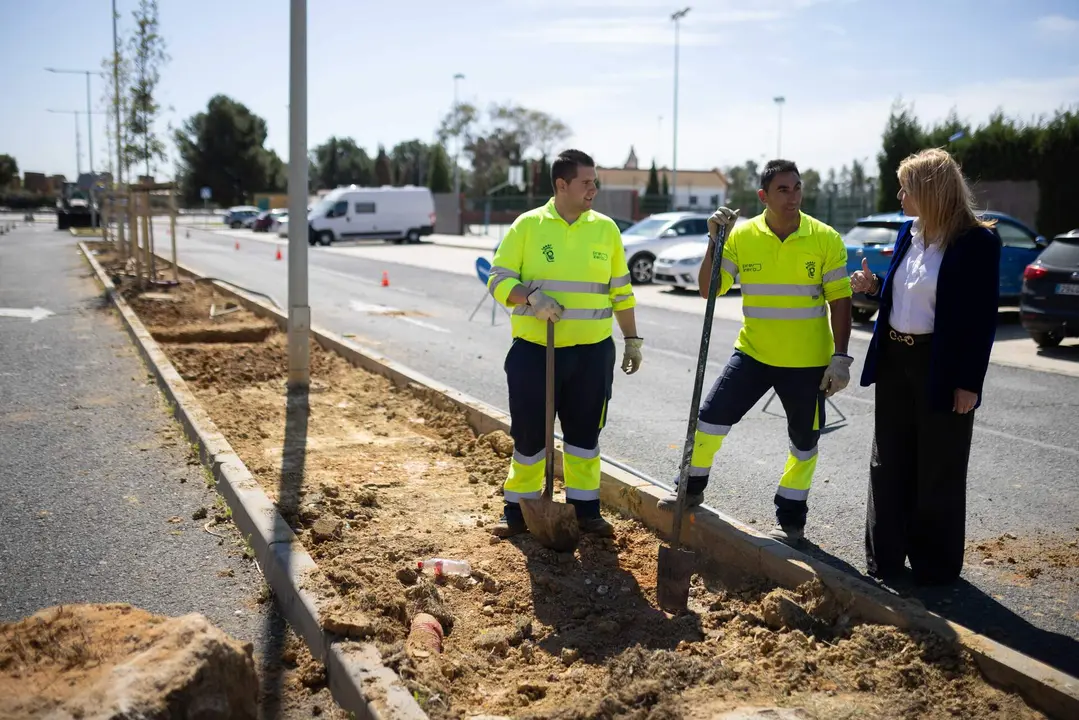 El Ayuntamiento de Huelva impulsa la renaturalizaci&oacute;n de la avenida Ana Mar&iacute;a Jerez Cano con un nuevo corredor verde