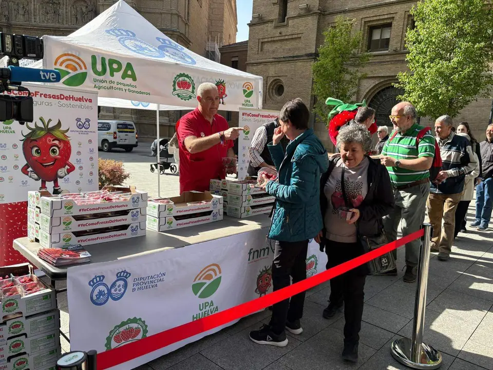 Reparto de fresas de Huelva en Zaragoza