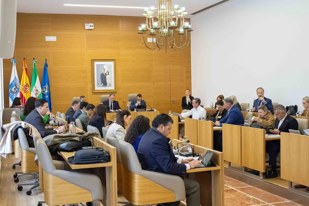 Pleno Ordinario 8 de abril