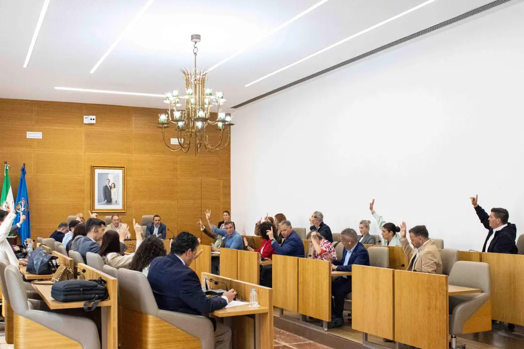 Pleno extraordinario d&iacute;a 23 de abril