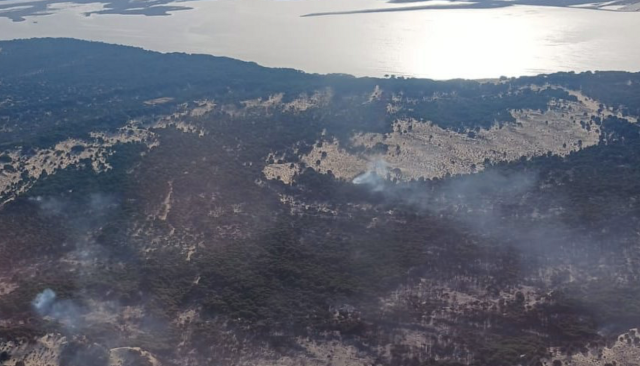 Incendio en el entorno de Do&ntilde;ana.