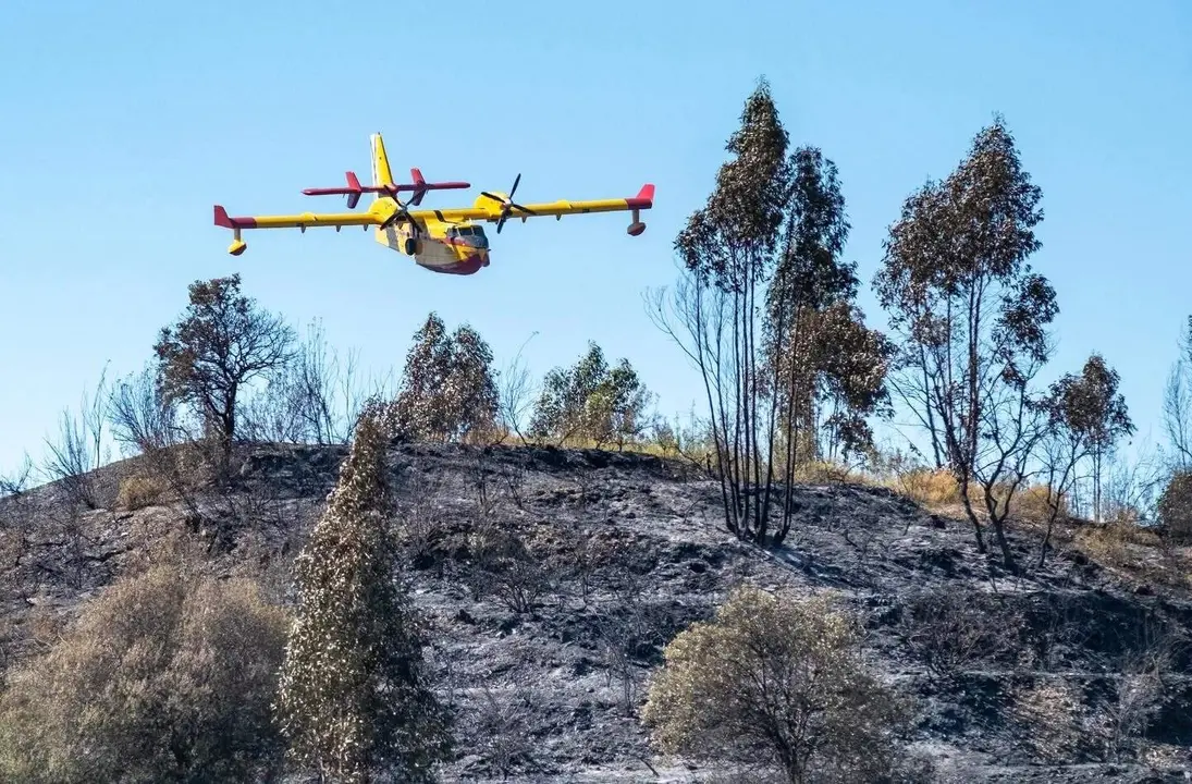 Una aeronave en las labores de extinci&oacute;n.