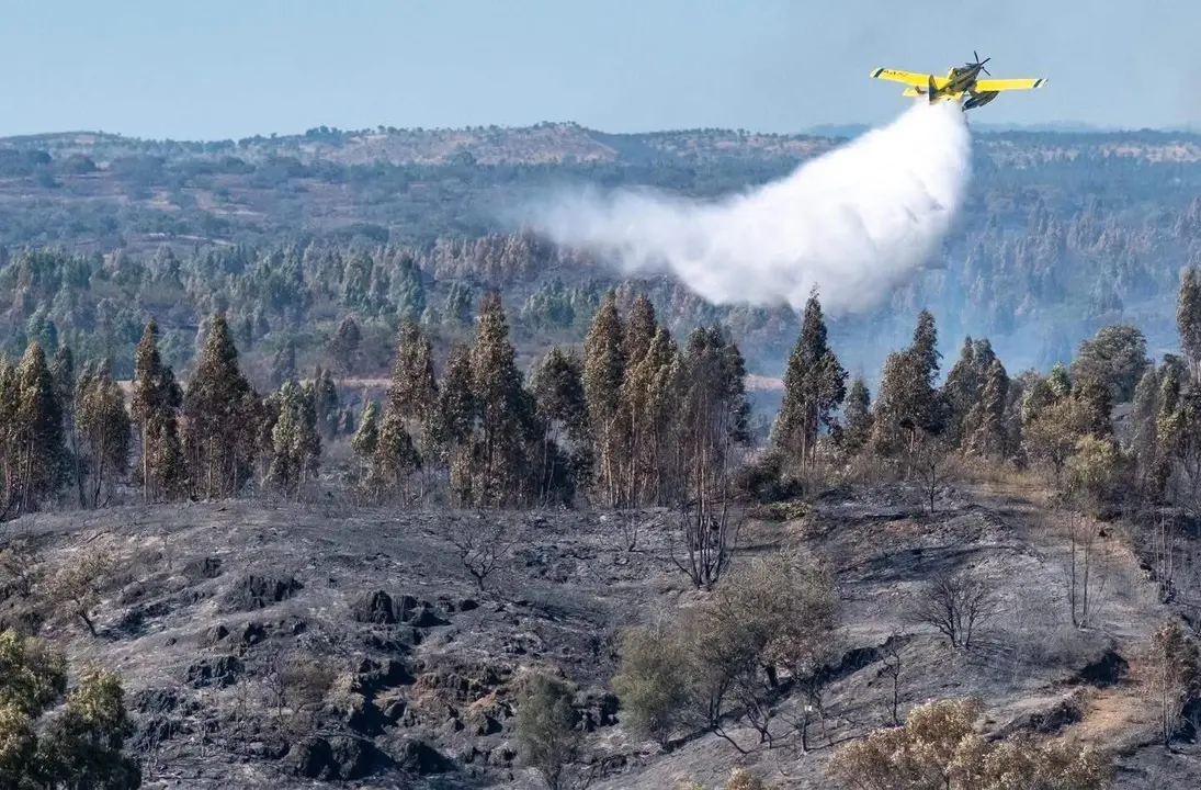 Incendio