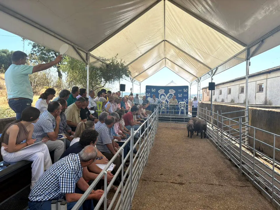 reproductores1
