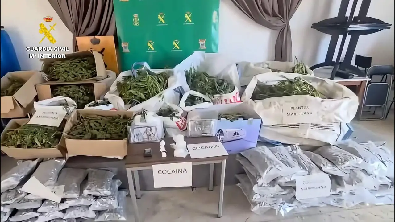 Golpe al narcotr&aacute;fico en Huelva: m&aacute;s de 2.250 plantas de marihuana intervenidas y ocho detenidos