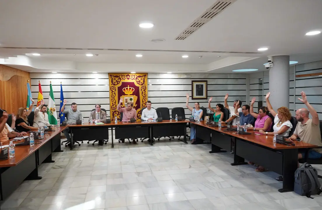 Pleno 18 junio (2)