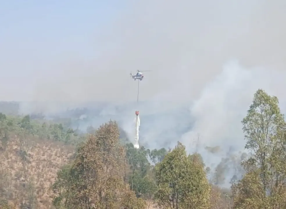 Incendio en Niebla