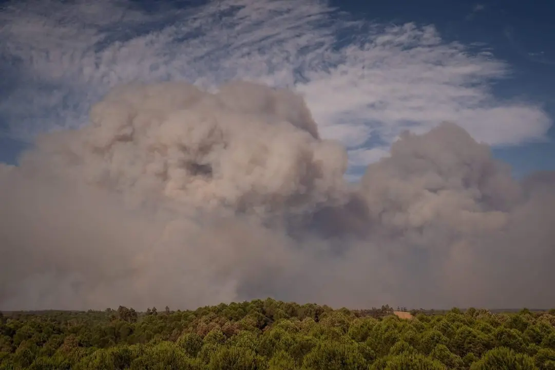 Incendio de Niebla.