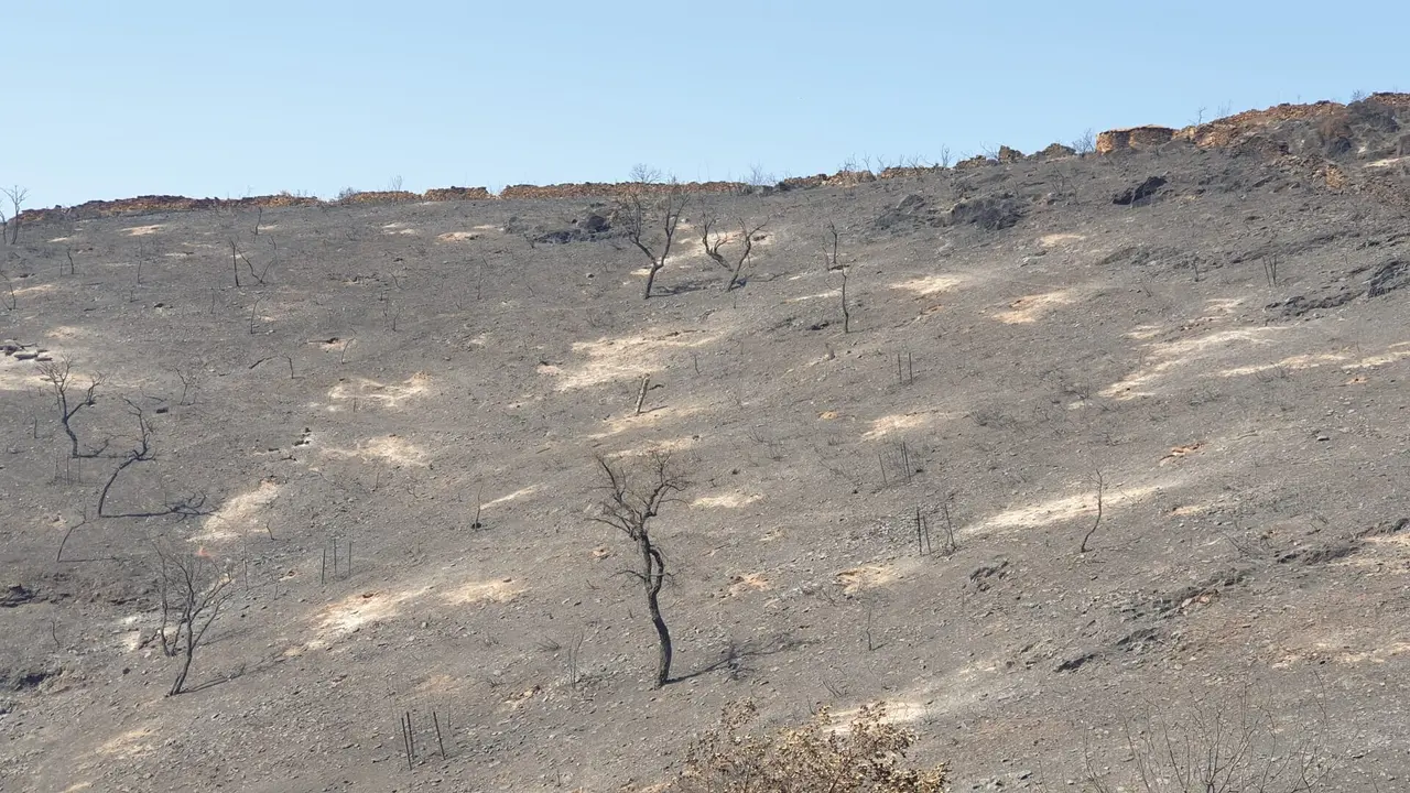 Imagen de todo lo devastado en Berrocal.