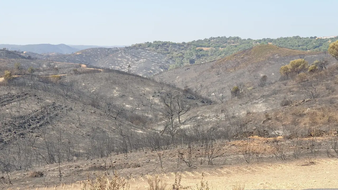 Imagen de Berrocal tras el paso del fuego.