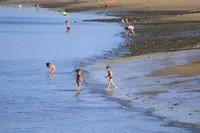 EN LA ORILLA - Alicia Garrido