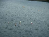 BEBEN Y BEBEN - Fernando Rodr&iacute;guez