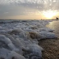 ESPUMA Y SAL -Teresa Arroyo