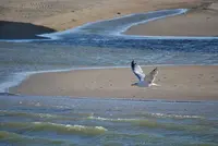 GALOPANDO MARES- Jos&eacute; Antonio Garc&iacute;a