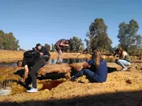 Puente Romano de Niebla