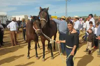 311879977_489832293177329_4989750723820190018_n