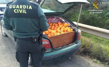 Vehículo interceptado cargado de naranjas robadas. / Guardia Civil