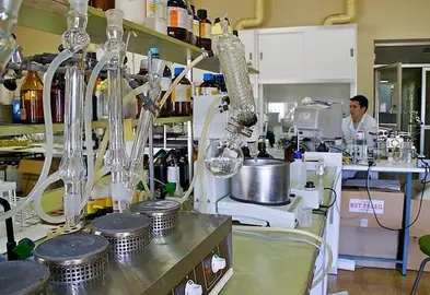 Los premios están abierto a los investigadores menores de 35 años