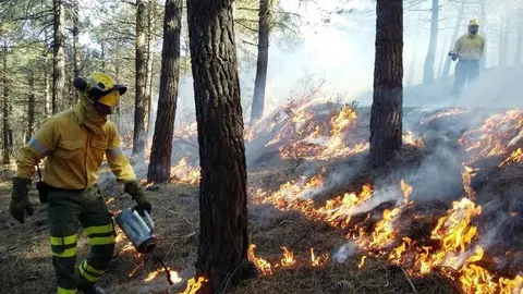 Incendio Olivargas, en la carretera de Zalamea.