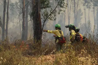 Bomberos del Infoca en el incendio. (Foto: Plan Infoca)
