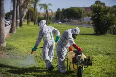 Labores de fumigación contra los mosquitos transmisores del virus del Nilo