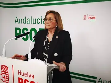 11/12/2020 La diputada y coordinadora de la gestora del PSOE de Huelva, María Luisa Faneca, en rueda de prensa.
ANDALUCÍA ESPAÑA EUROPA HUELVA POLÍTICA
PSOE DE HUELVA.