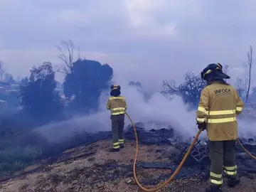 Bomberos del Infoca apagando las llamas. (Foto: Infoca)