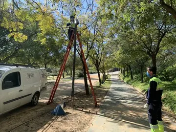 Cambio del alumbrado del Parque Moret
