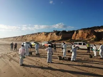 20/04/2021 Dispositivo de limpieza en la costa de Huelva.

El operativo de emergencia movilizado a ra&iacute;z de la activaci&oacute;n en situaci&oacute;n 1 del Plan de Emergencia ante el Riesgo de Contaminaci&oacute;n del Litoral en la provincia (Pecla), ha concluido las labores de limpieza de las manchas de hidrocarburo con la retirada de residuos de la costa onubense, entre las poblaciones de Mazag&oacute;n y Matalasca&ntilde;as, en la tarde del martes, seg&uacute;n informa el servicio Emergencias 112 Andaluc&iacute;a, adscrito a la Consejer&iacute;a de la Presidencia, Administraci&oacute;n P&uacute;blica e Interior.

POLITICA ANDALUC&Iacute;A ESPA&Ntilde;A EUROPA HUELVA SOCIEDAD
JUNTA DE ANDALUC&Iacute;A