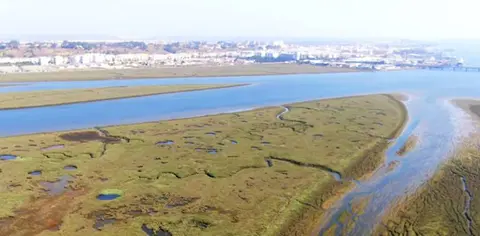 Vista panor&aacute;mica de las marismas de San Juan del Puerto