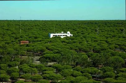 Imagen panor&aacute;mica del INTA en Mazag&oacute;n