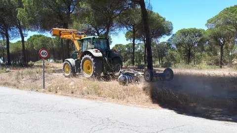 Trabajos de la maquinaria pesada para limpiar de pastos los cortafuegos