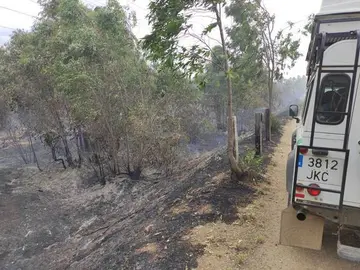 Incendio forestal en Lepe
