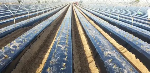 a32a7d0f-ecbd-4d8d-b226-a1384467b987