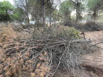 5E676CC1-9736-4ED6-8557-472F71C48C1D