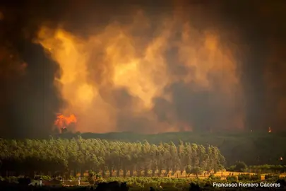 29712CE7-34A5-445A-A378-9E0BAC123AE0