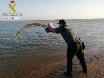 69556C3E-9129-41C2-8B86-DC49C2E6F2FA