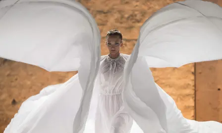 Un instante de la obra El maleficio de la mariposa.