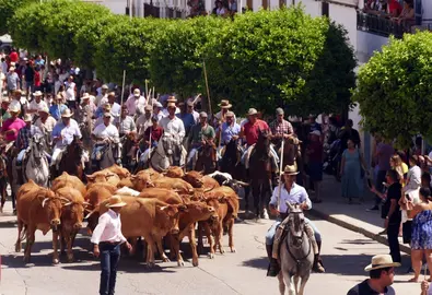 Encierro a caballo en Beas.