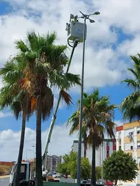 Tareas de modernización del alumbrado público