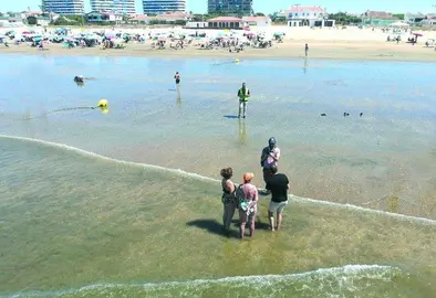 F14B0A96-5A29-413A-983E-3CD6A3BAC1A1