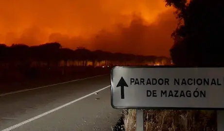 Incendio de Do&ntilde;ana en 2017.