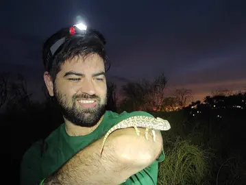 Un joven voluntario recoge un camaleón en Islantilla