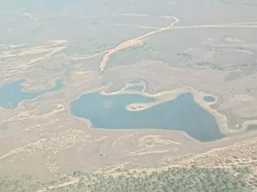 Lagunas de Doñana, casi sin agua