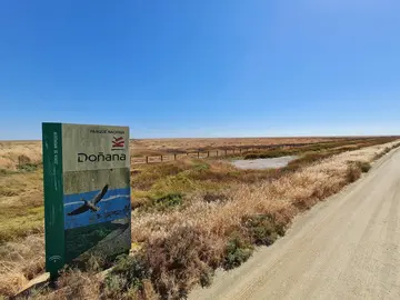 Doñana se seca.